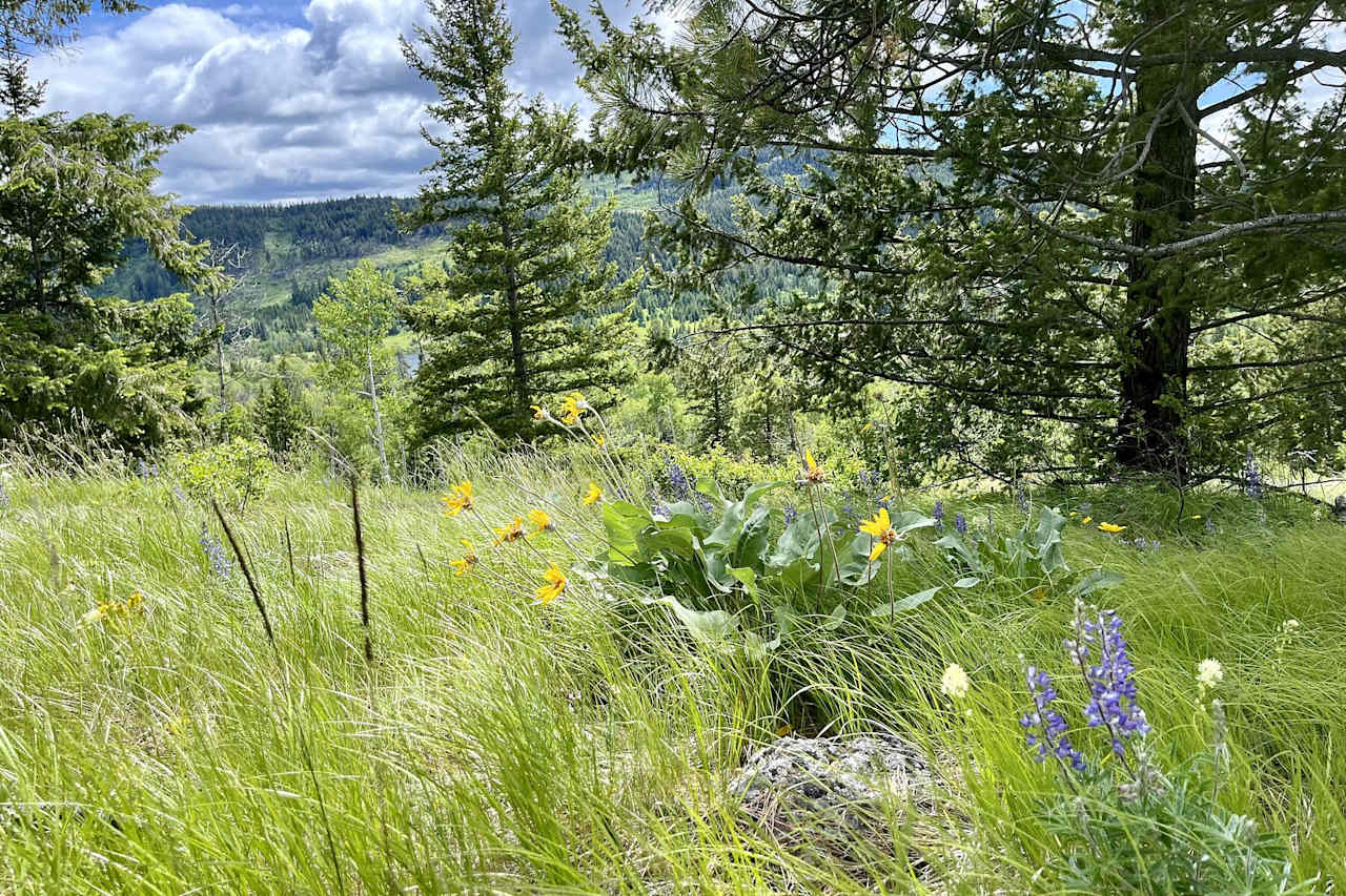 Windy Hills Lakefront Retreat