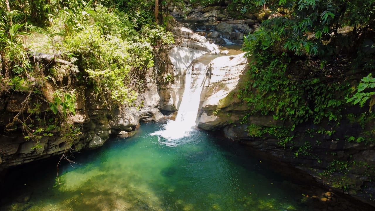 Finca Cerro del Tigre!   Over 20 Acres of Primary Forest and  Waterfalls. 