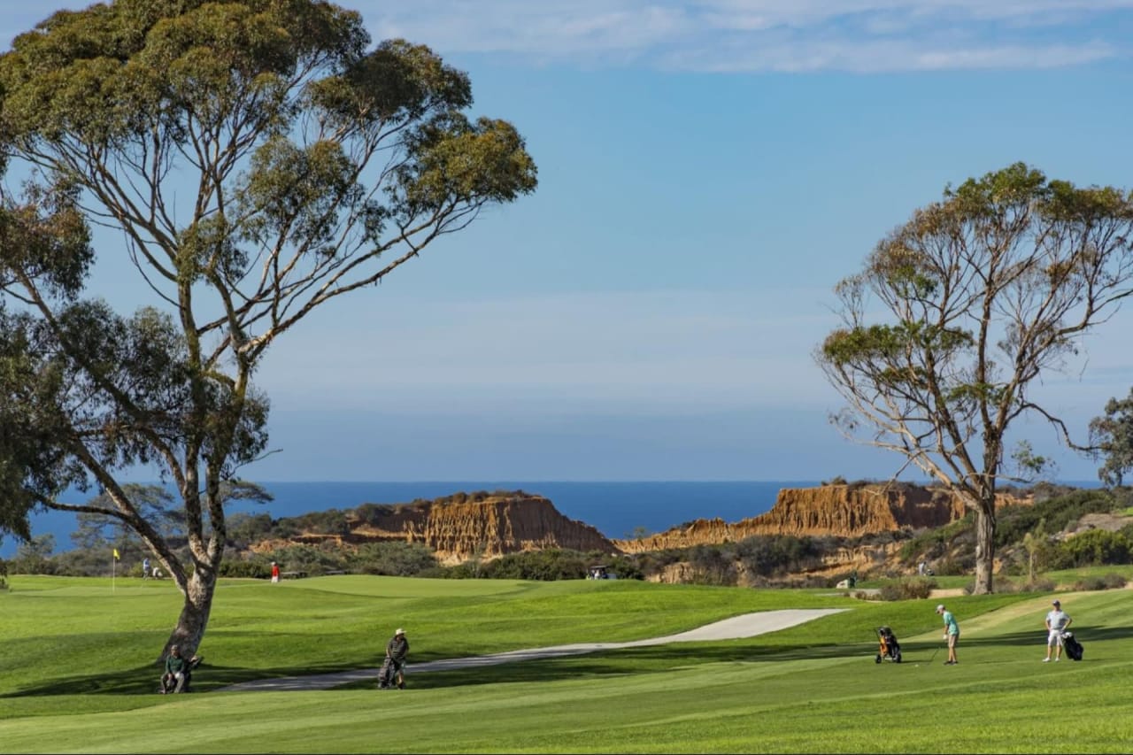 Rancho Santa Fe , The Bridges