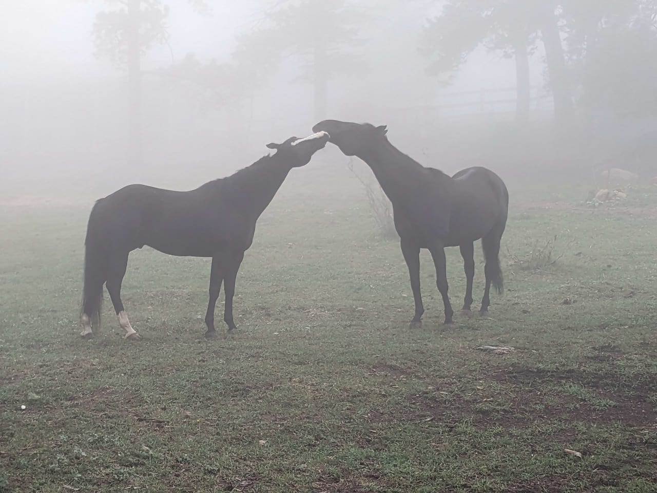 Doubleheader Ranch