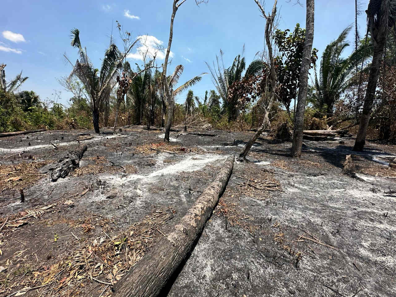 Large Residential  corner Lot in Camalote Village, Cayo District, Belize