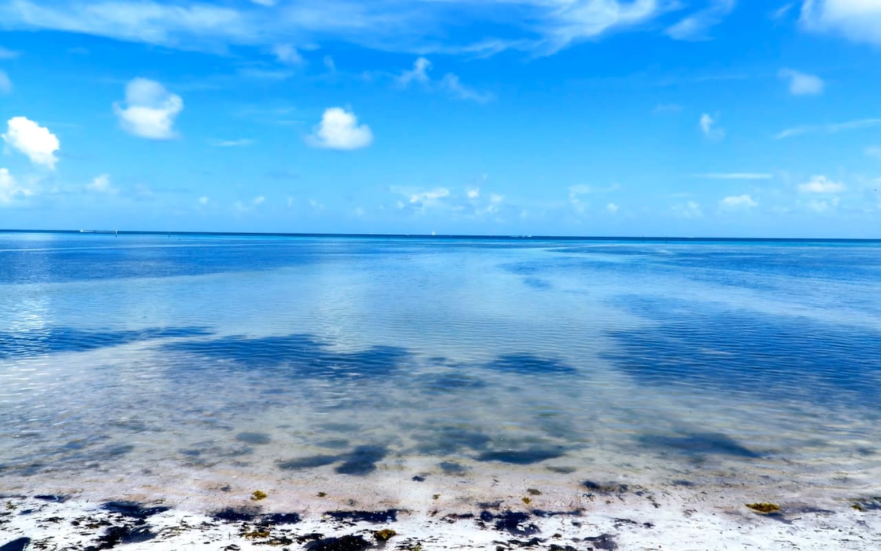 Ultimate Guide to Selling Your House in Islamorada, FL