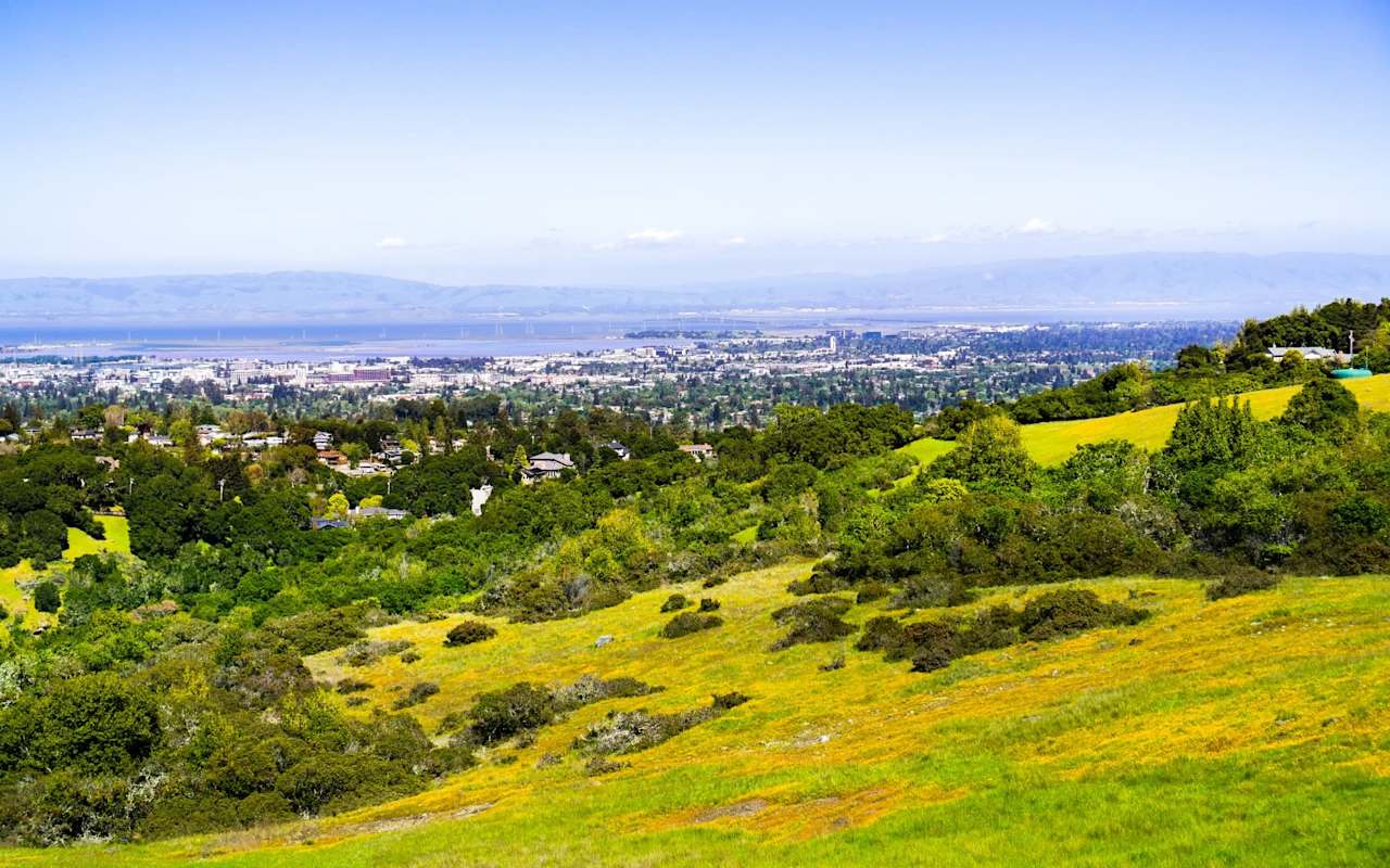 Menlo Park Real Estate Community Guide Elizabeth Thompson