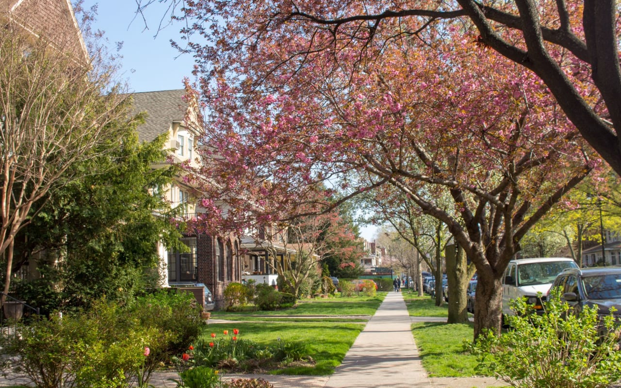 Prospect Heights