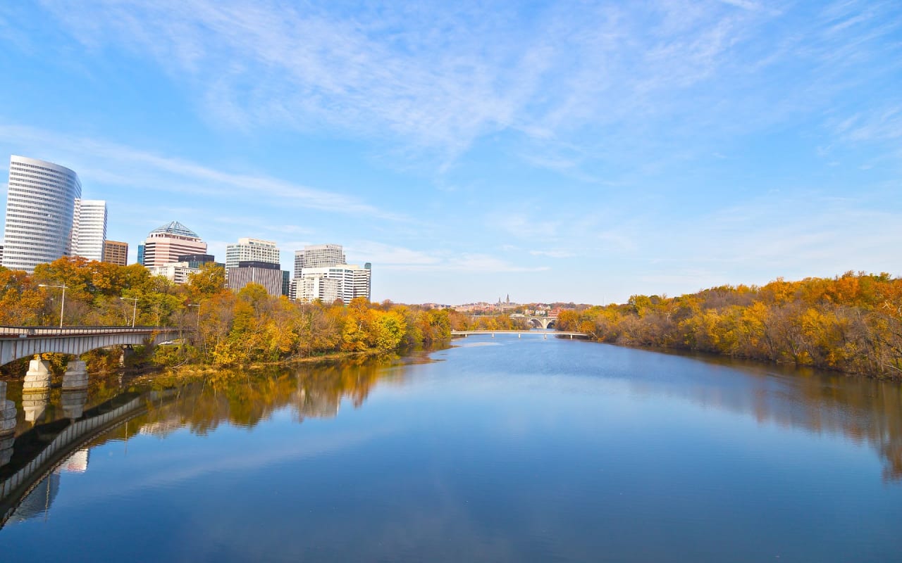 Blue sky with autumn colored trees along the river bank with several skyscrapers on the lefthand side