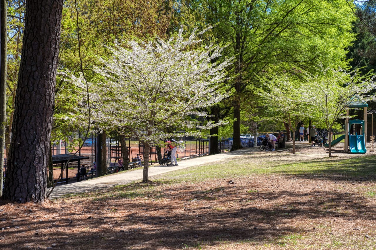 The Brookhaven Cherry Blossom Festival