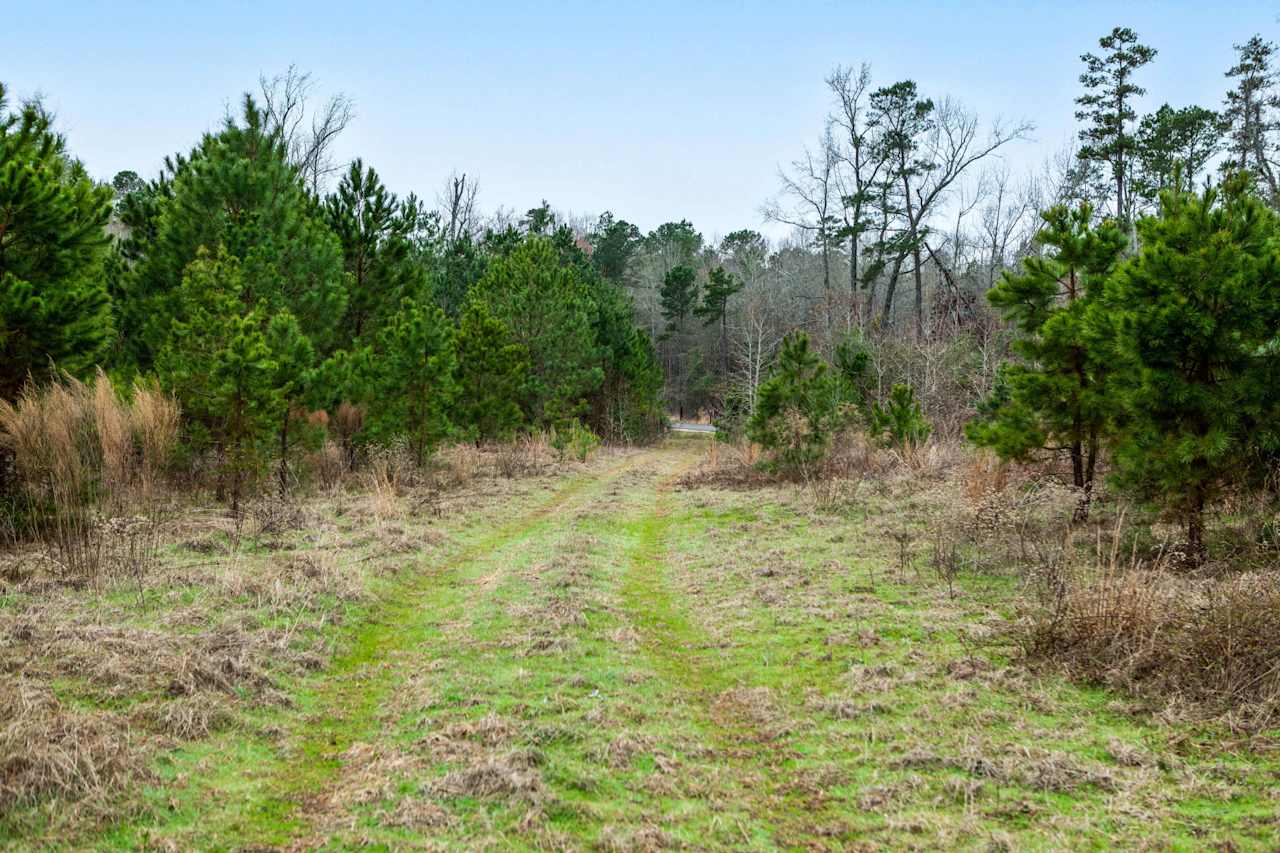 10 Acres CR 222