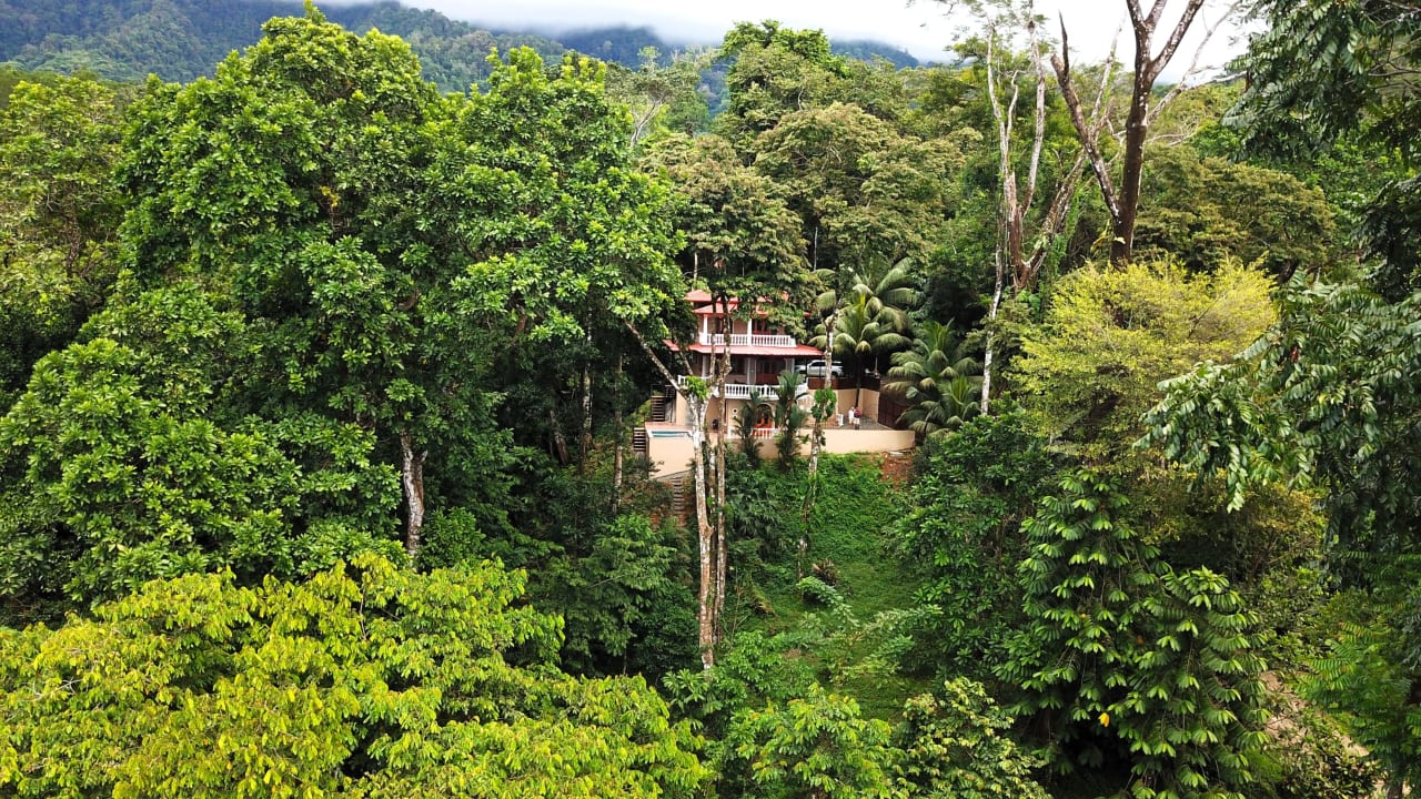 Jungle, Rivers, a Waterfall and Panoramic Ocean View with Easy Access Close to All Amenities!