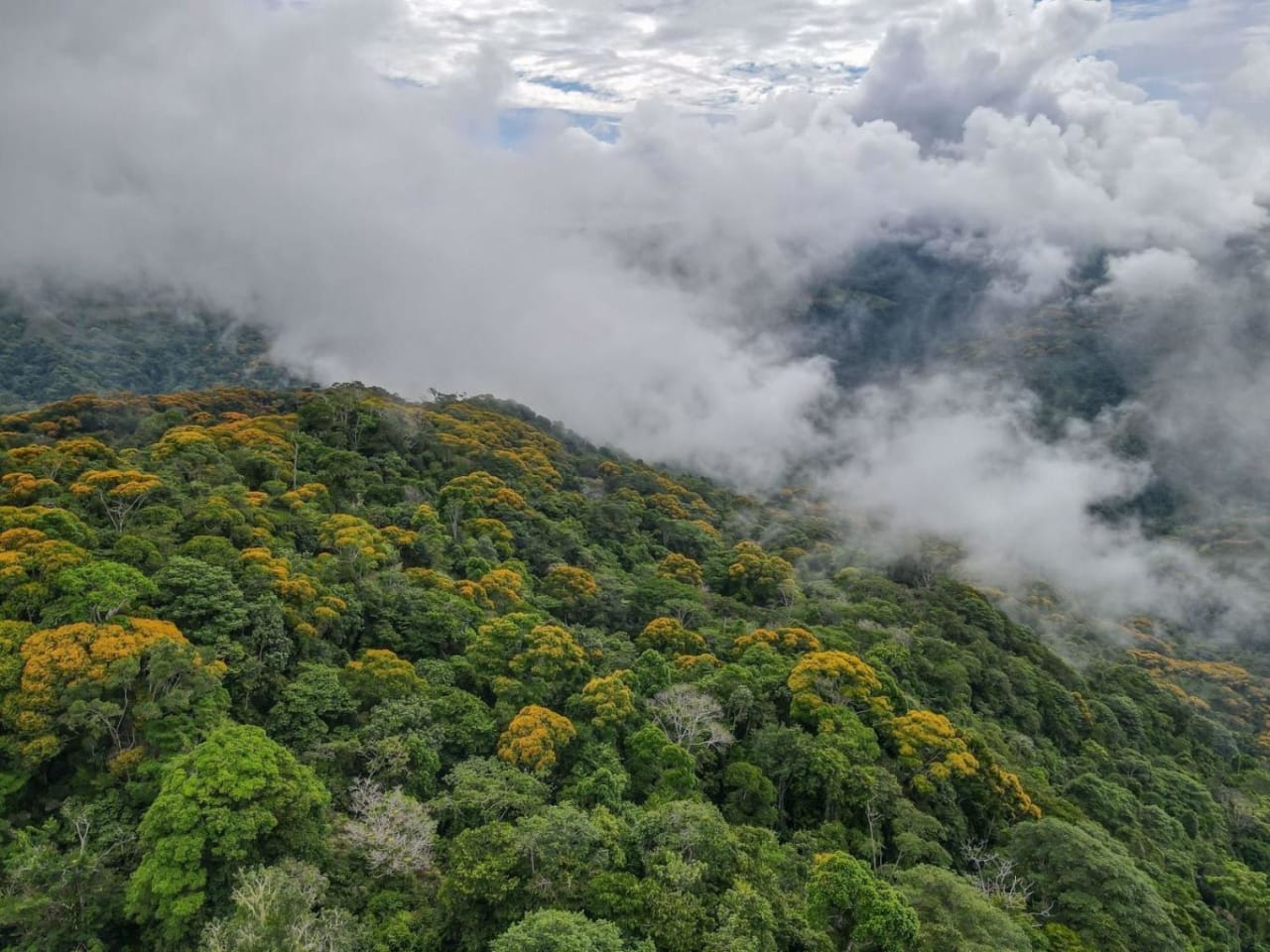 The Ultimate Sustainable Legacy, 360-degree Breath-taking Views Sea Ridge Reserve