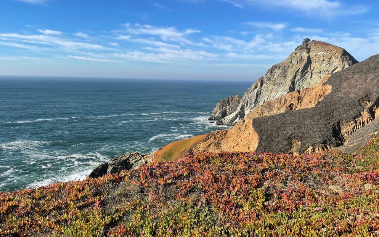 Pacifica 