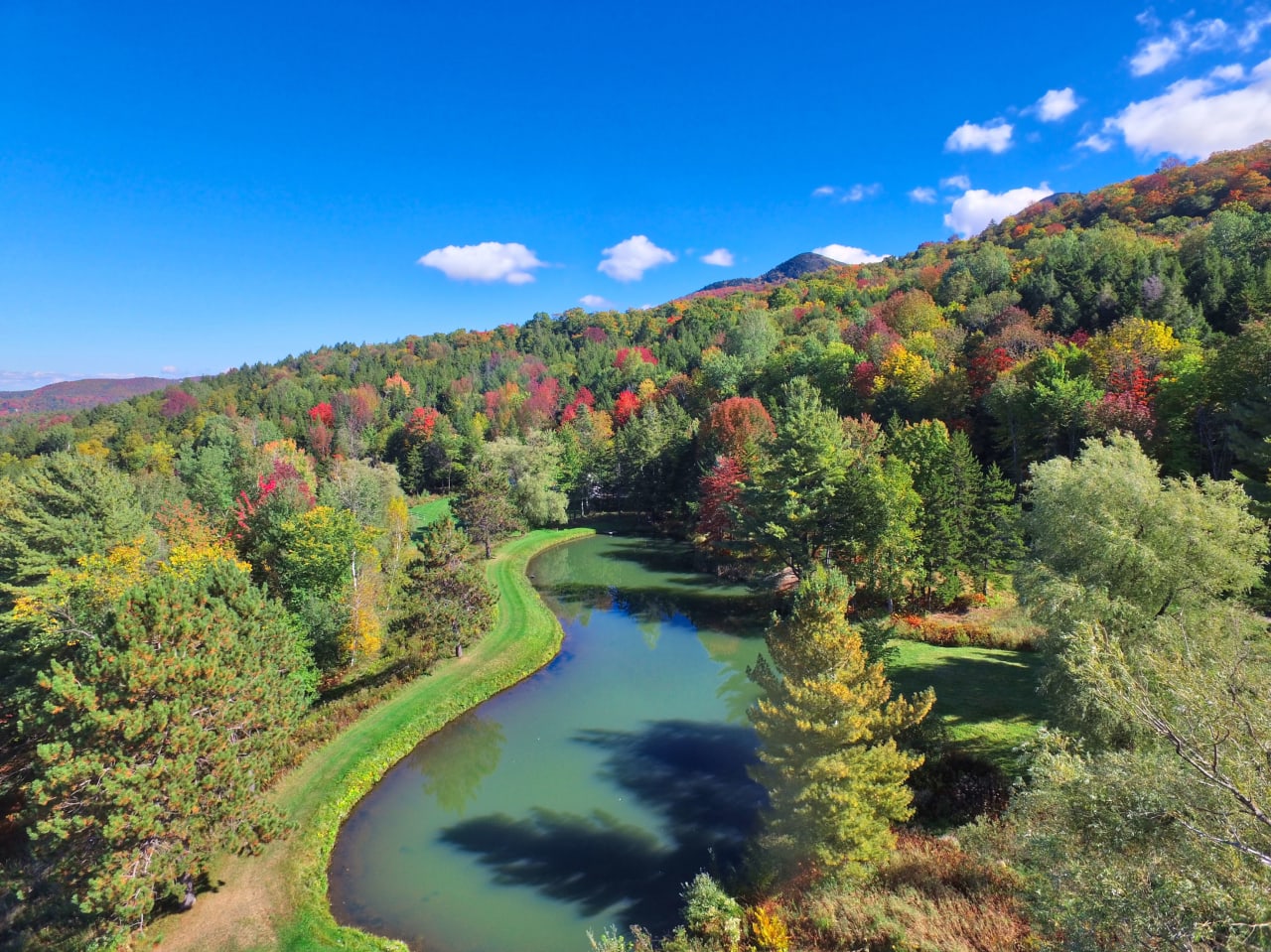 Coldwell Banker Carlson Real Estate Stowe Real Estate