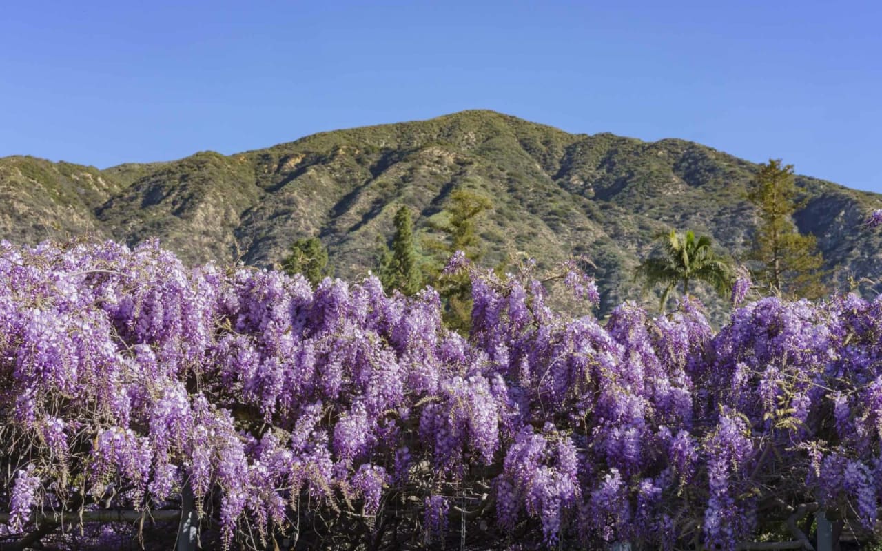 Sierra Madre