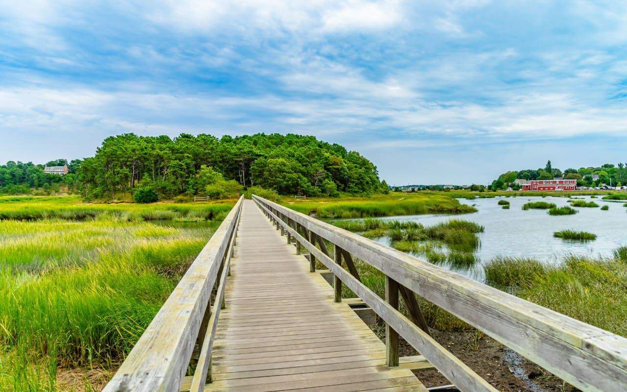 Wellfleet