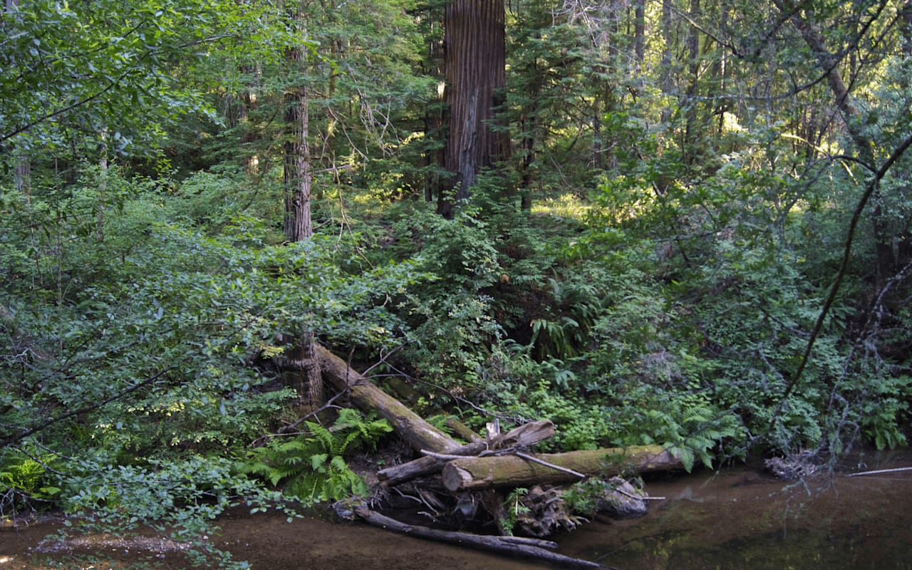 Woodacre LivXplore Real Estate & Lifestyle