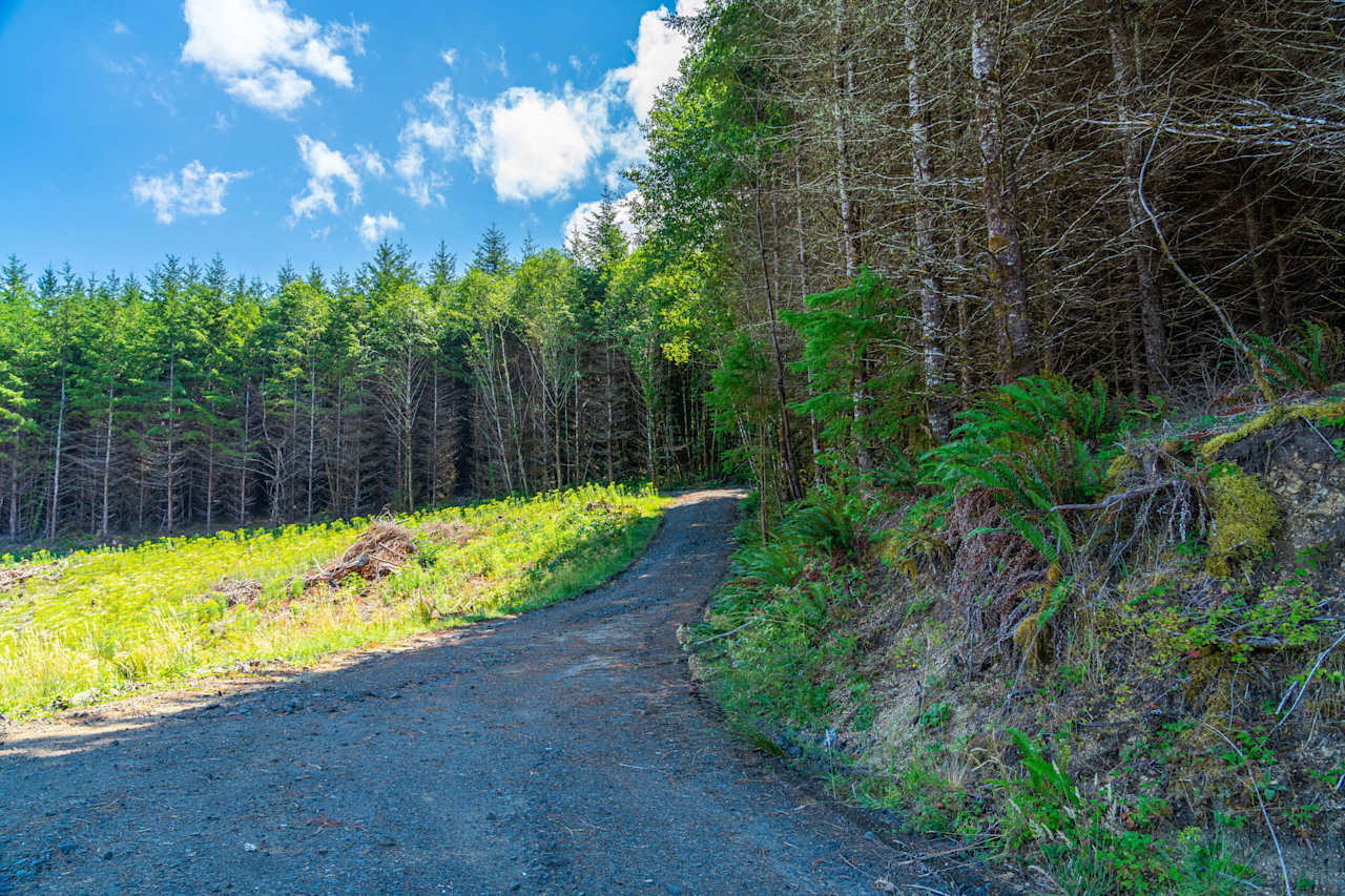 Eddyville/Sam's Creek Sealed Bid Offering (No Published Reserve)