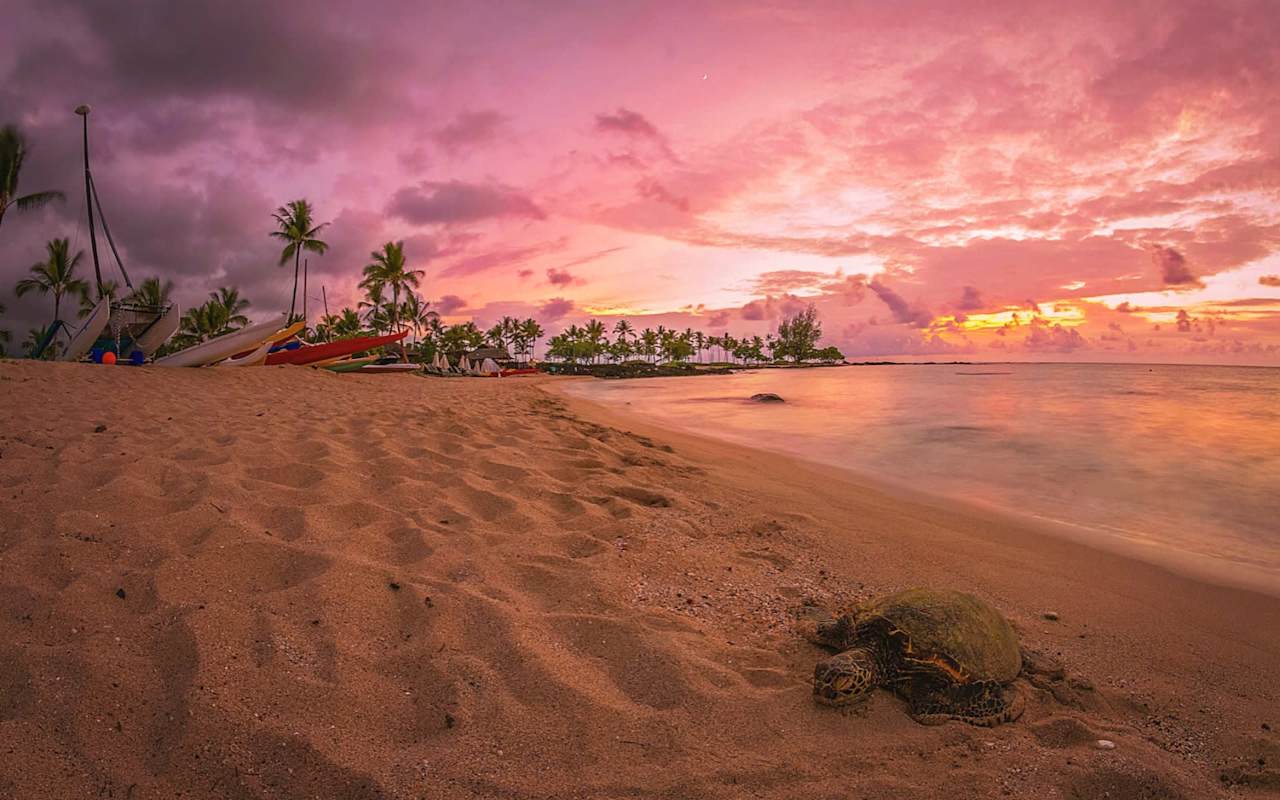 Can't Miss Family Events on Hawaii's Big Island KailuaKona & Keauhou Real Estate