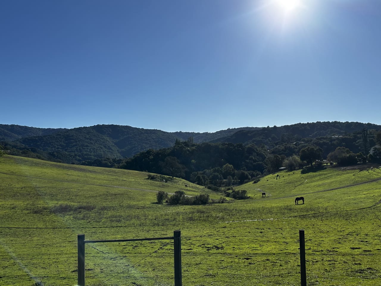 Los Altos Hills