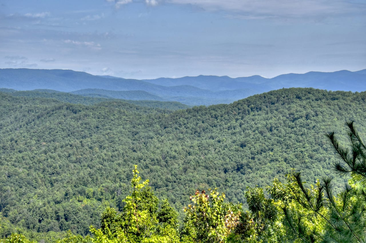 A view of a lush green forest with rolling hills leading up to distant mountains. 