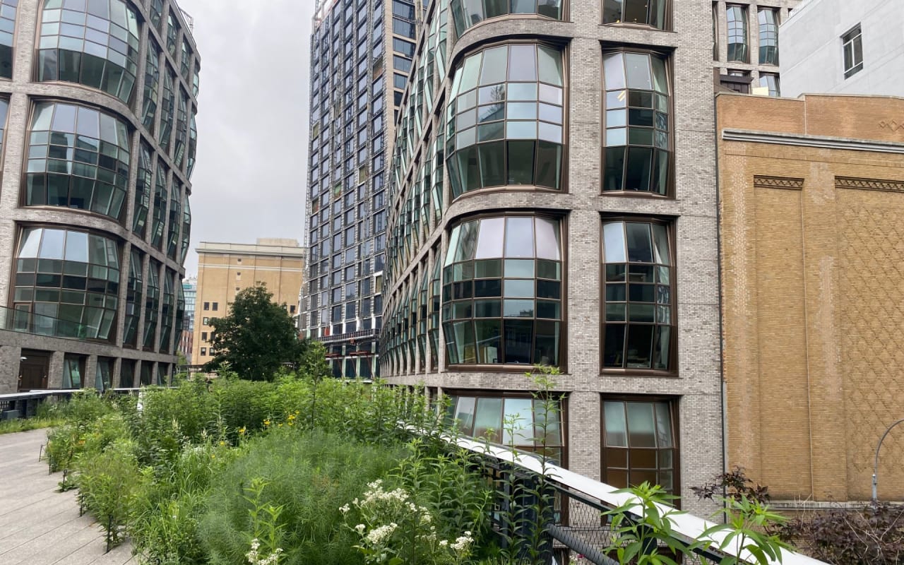 Lush green park with trees and pathways surrounded by skyscrapers.