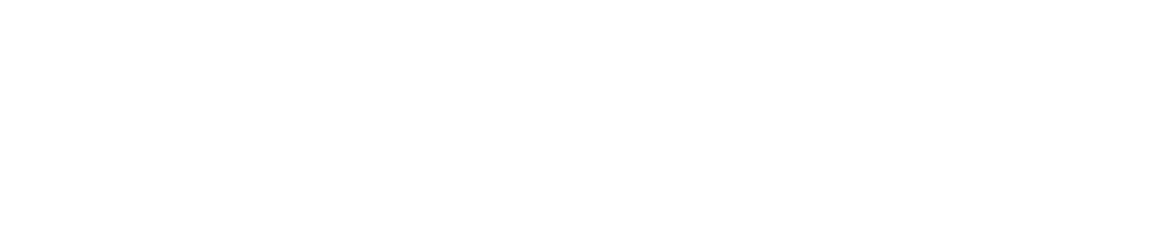 Light Logo