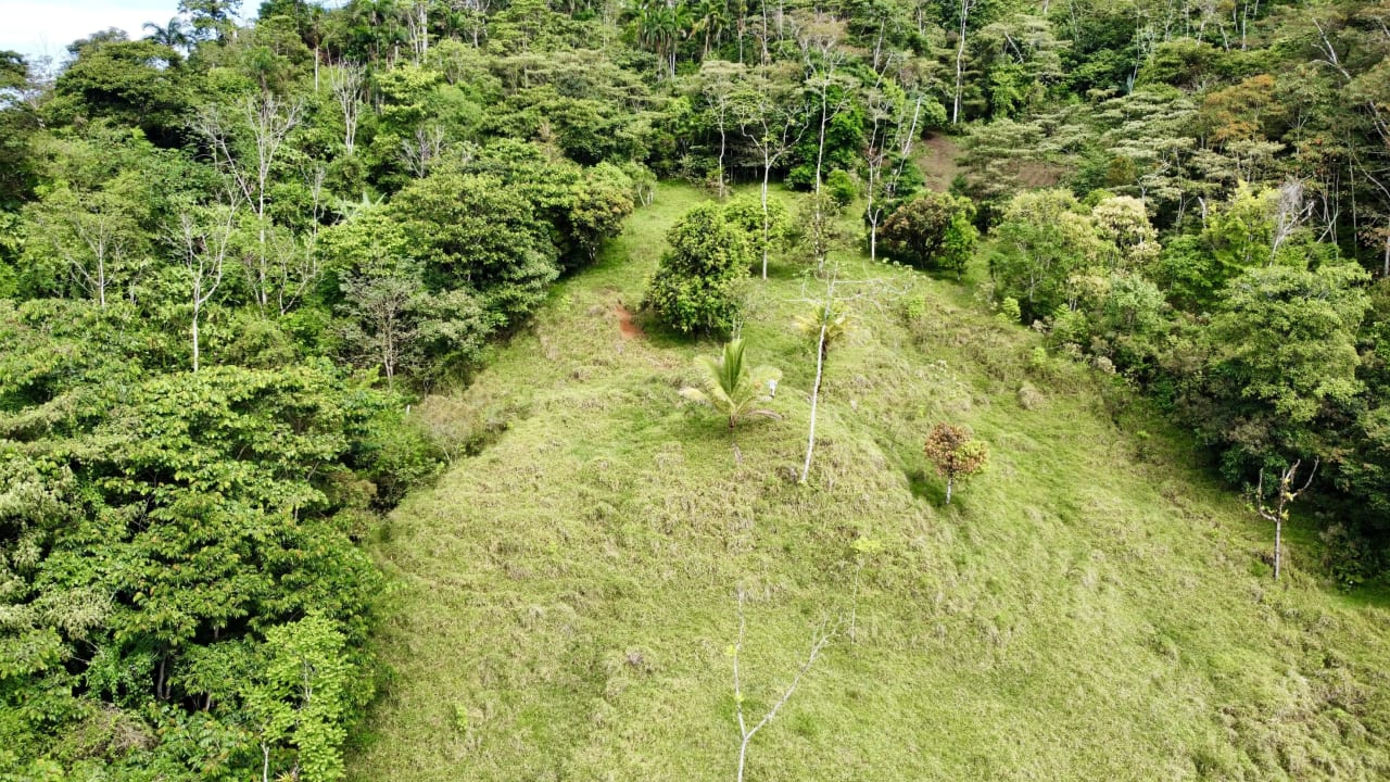 Hidden Gem: Serene Farm Retreat with Majestic Views in Costa Rica