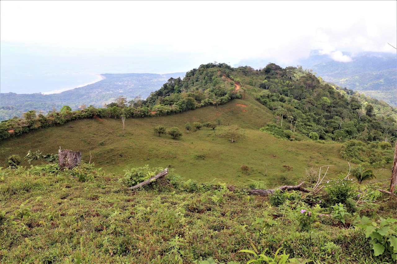 276 acres, 3 spectacular ocean view farms bordering together