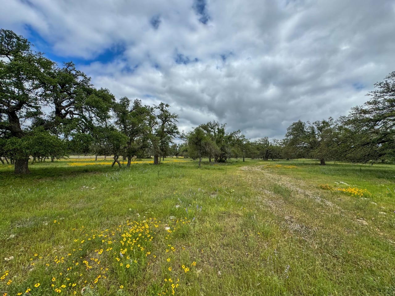 10.48 +/- ACRES | Unzoned 783 Ranch Road Frontage, Gillespie County, TX