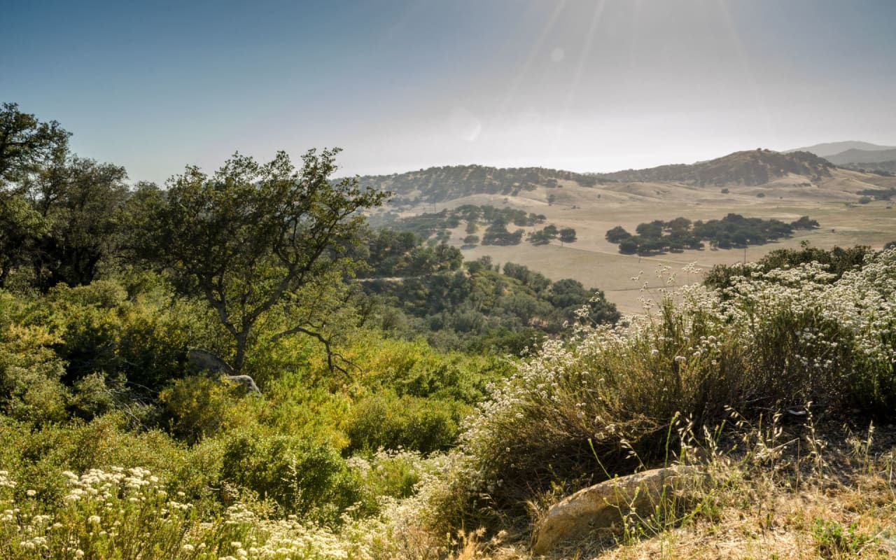 Permian Real Estate New Mexico Real Estate Brokerage