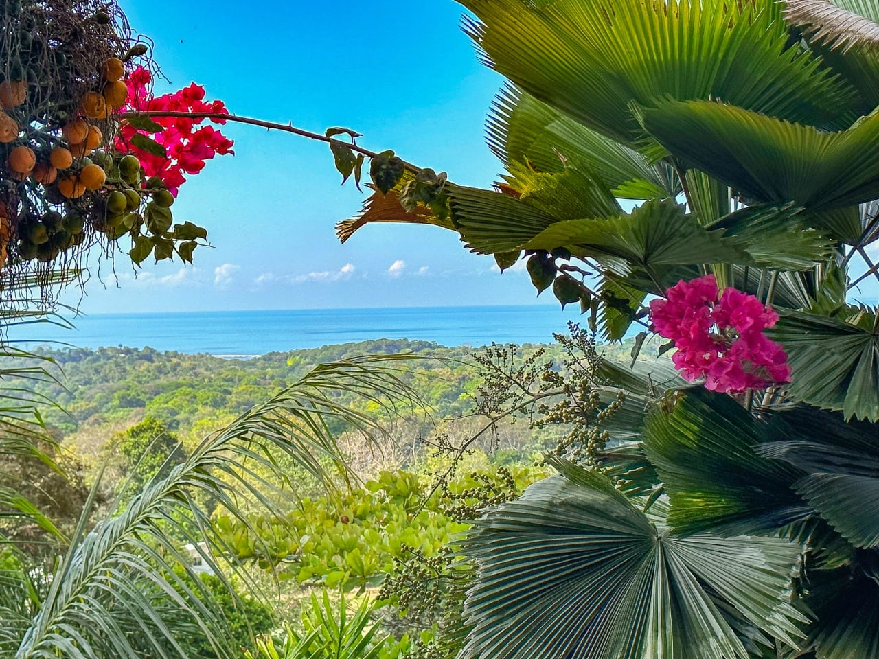 A 3-Bedroom Home With Spectacular Pacific Ocean View On The Edge Of Ojochal