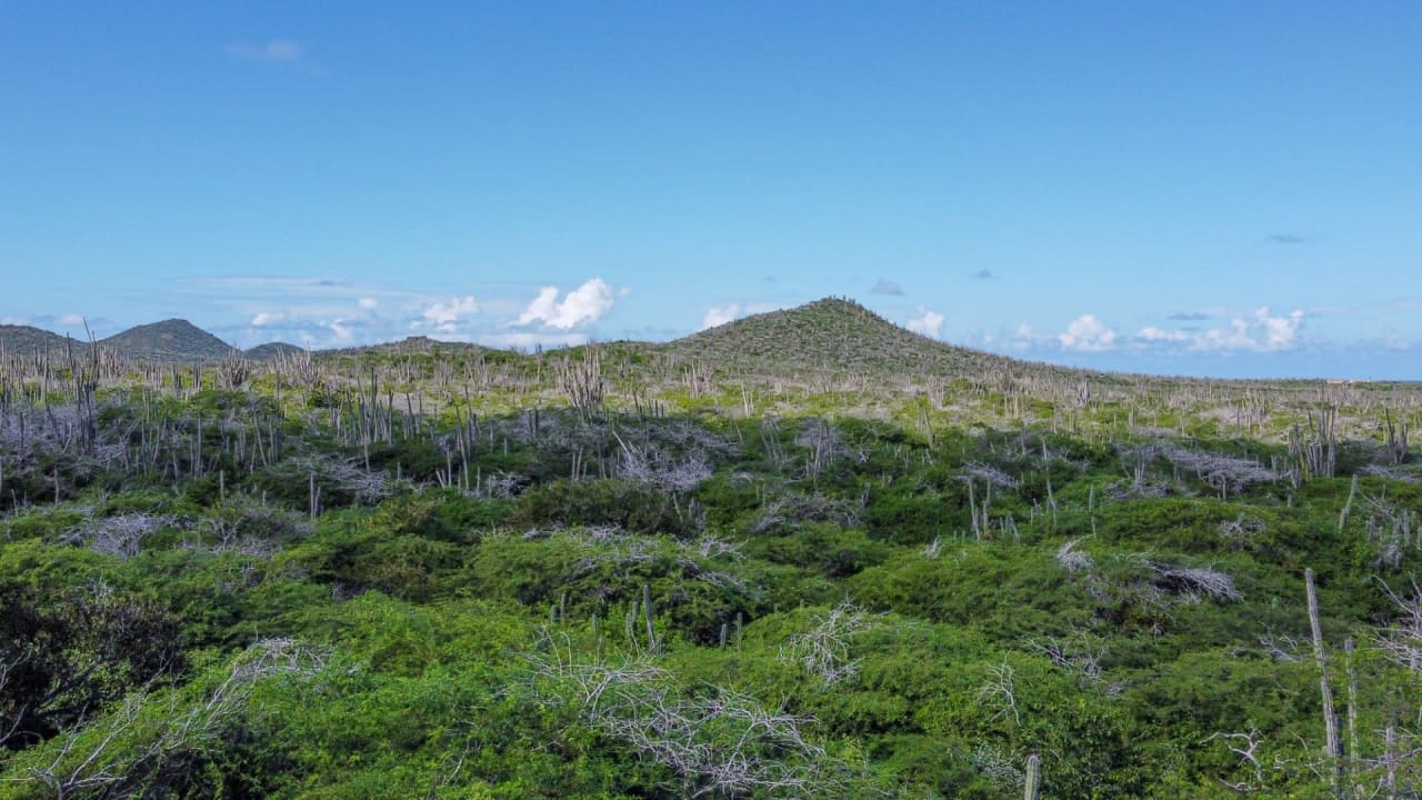 Property land Bonaire