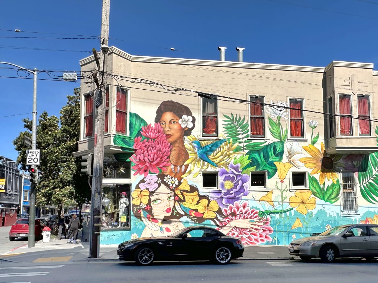 Hayes Valley / Lower Haight / NOPA