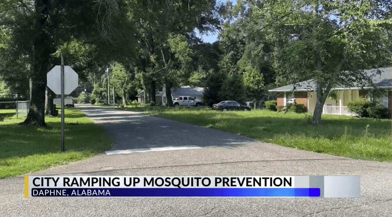 Battling Mosquito Menace: Olde Towne Daphne Takes a Stand with Bo Nichols, the Trusted Realtor!