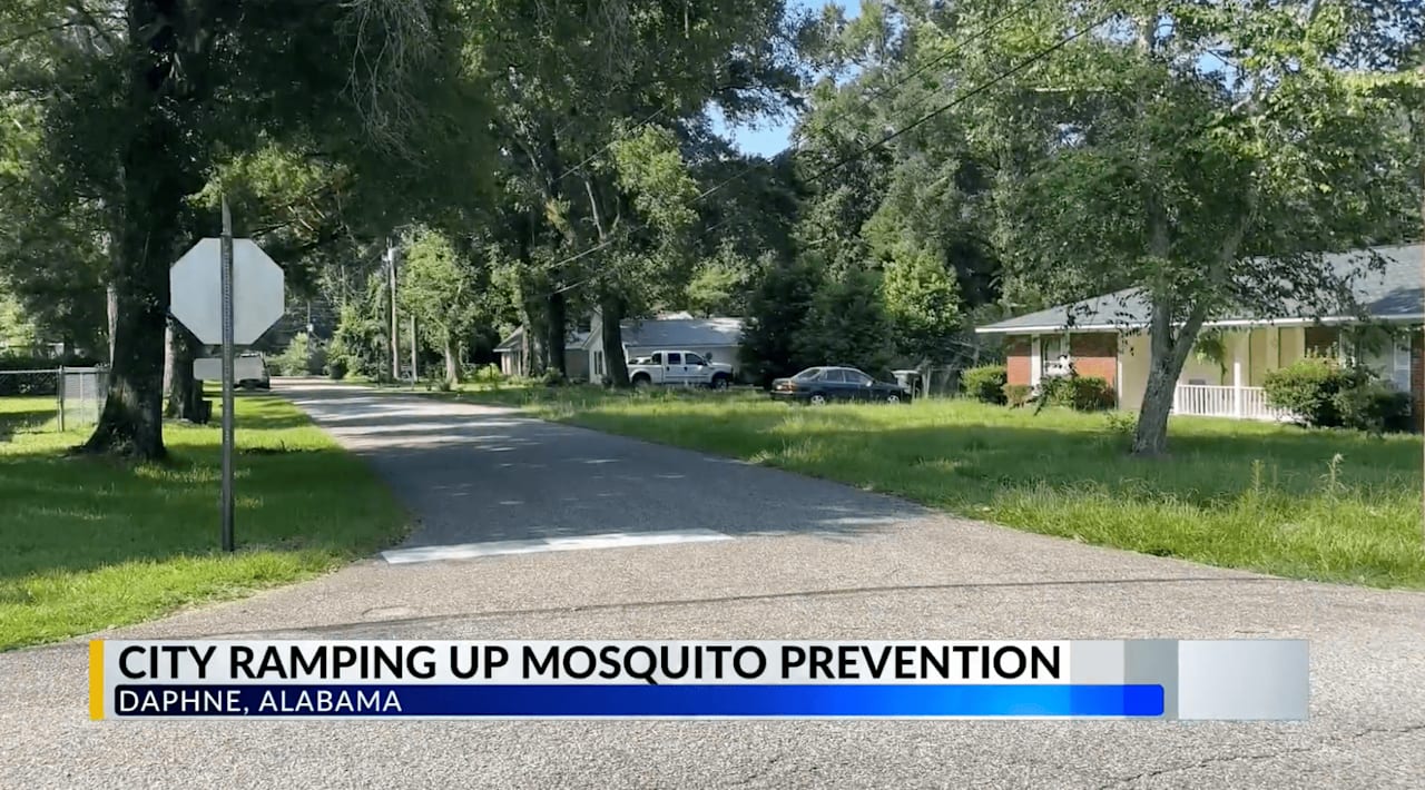 Battling Mosquito Menace Olde Towne Daphne Real Estate Agent Bo Nichols