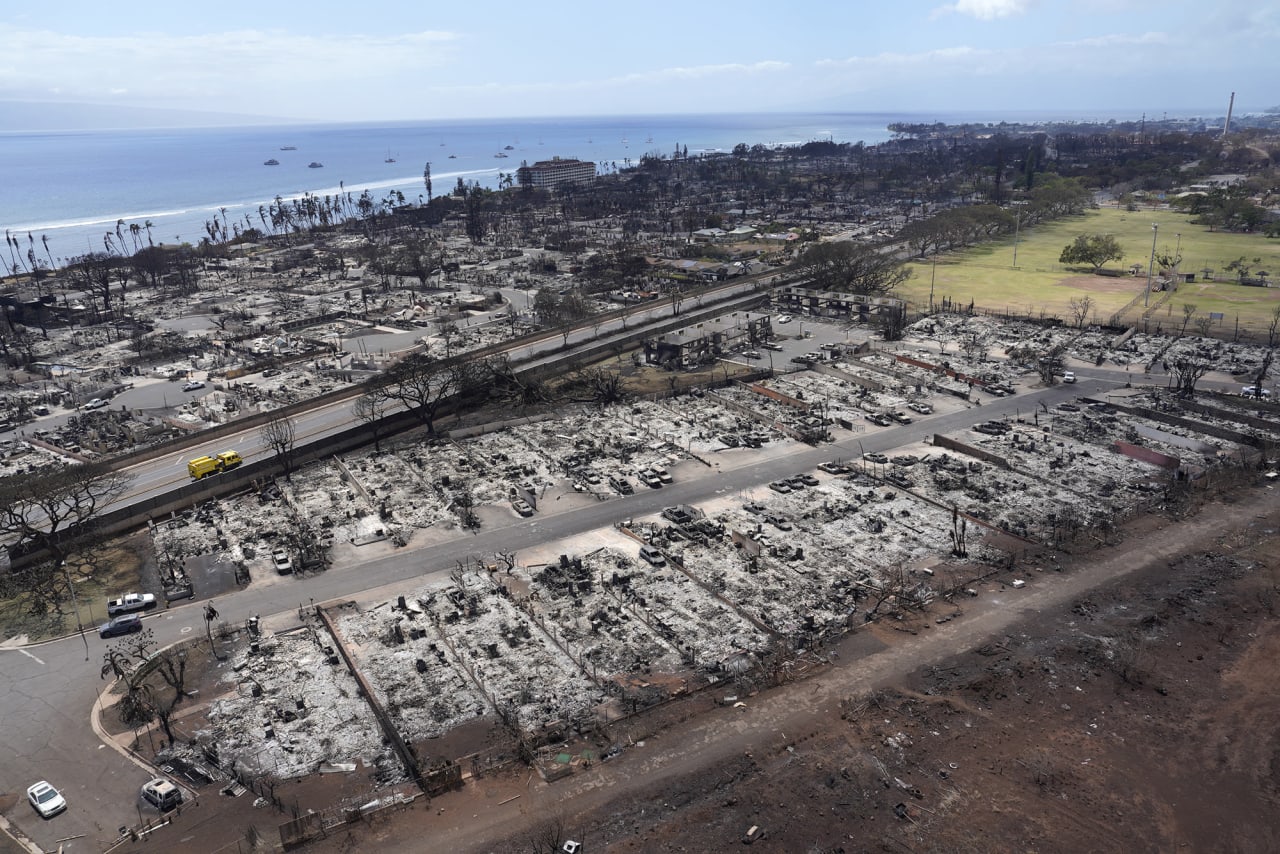 Navigating Change: Maui's Real Estate Market in the Aftermath of Recent Fires