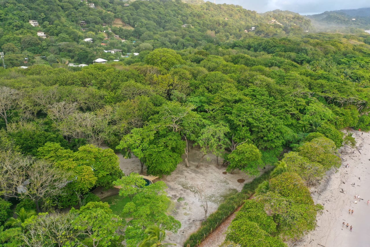 Oceanfront Lot in Santa Teresa