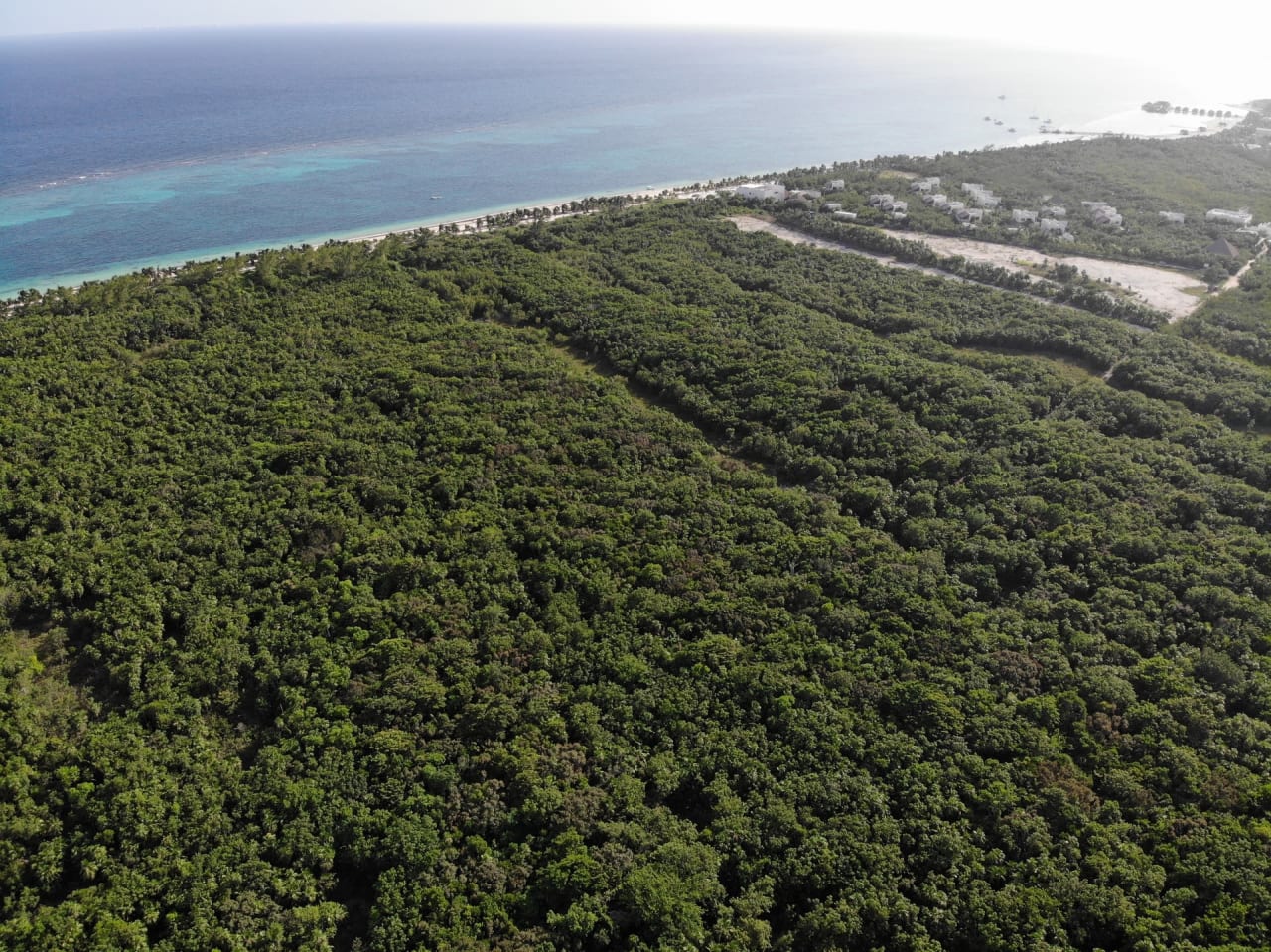 Punta Maroma Development Lot