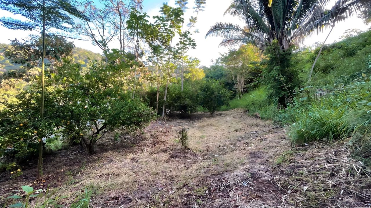  Exclusive Hermosa 1.2 Acre Lot with Panoramic Mountains and Ocean View. 