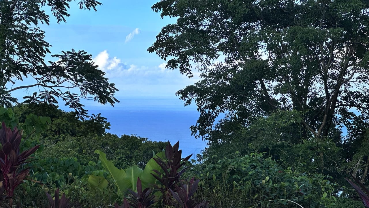 Escaleras, Dominical Ocean View Home 0.7 acre with Massive Studio Rancho