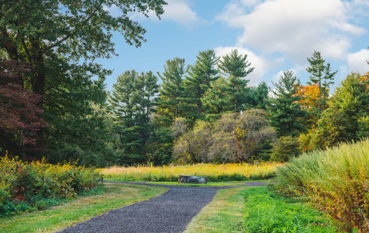 New Canaan Real Estate New Canaan Homes for Sale Rachel Walsh