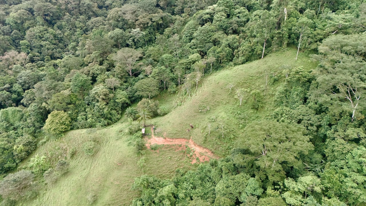 Over 123 Acres Farm in San Josecito De Morete, in Uvita Mountains