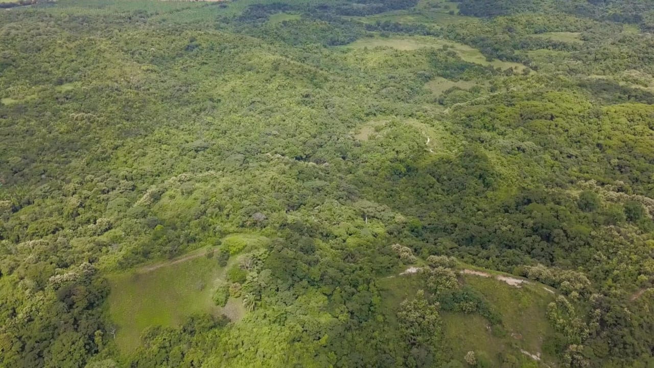 205 Acre Unsurpassed Ocean View Land, Manuel Antonio to Quepos