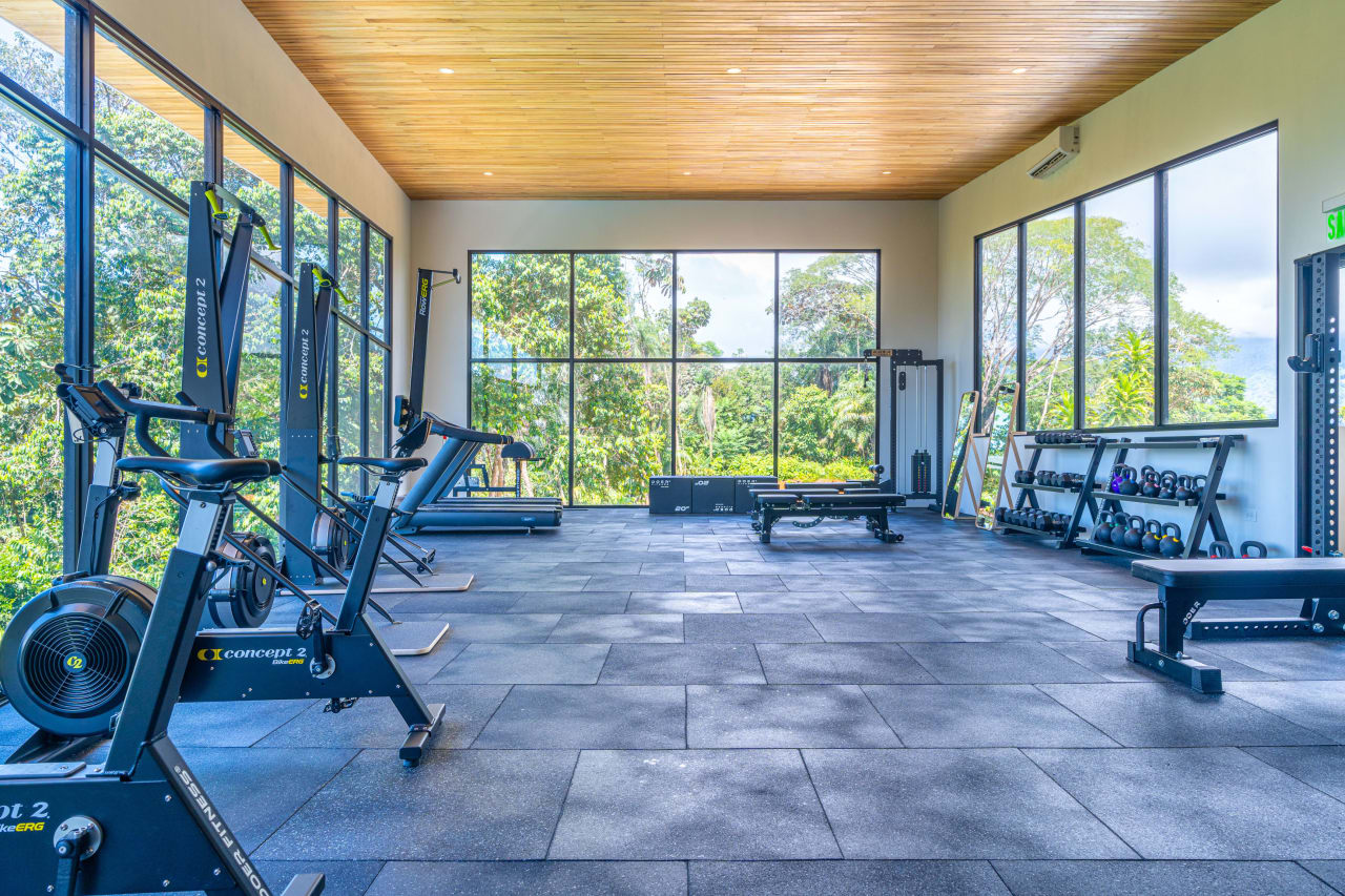 Ocean View Luxury Home with Fitness and Wellness Centre Business