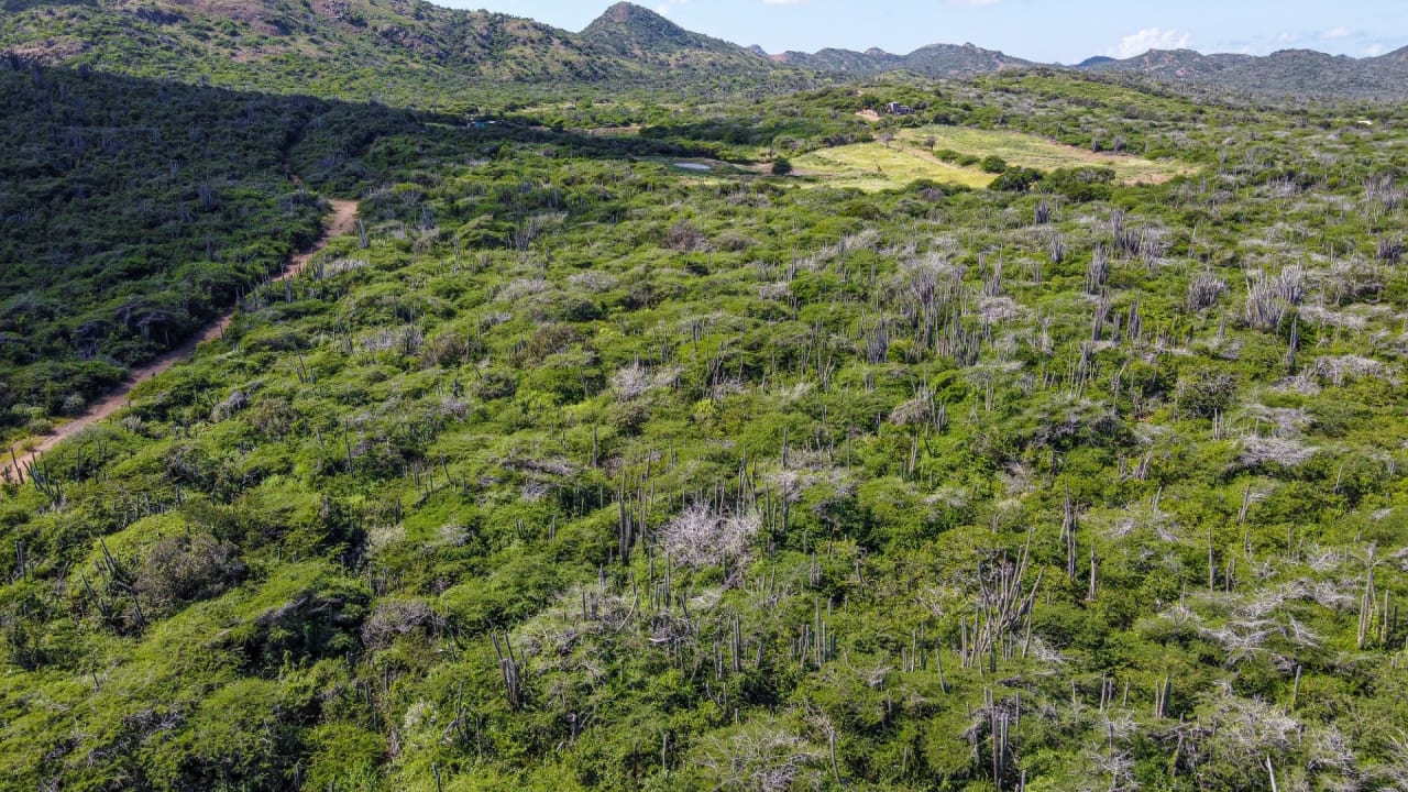 BES Islands Real Estate Bonaire Land For Sale Investment