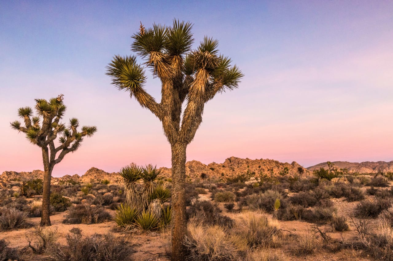 Inyokern