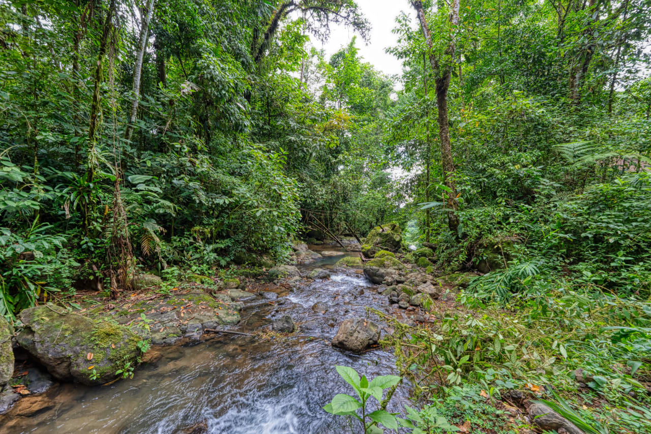 Secluded 67-Acre Costa Rican Paradise with Luxurious Residence