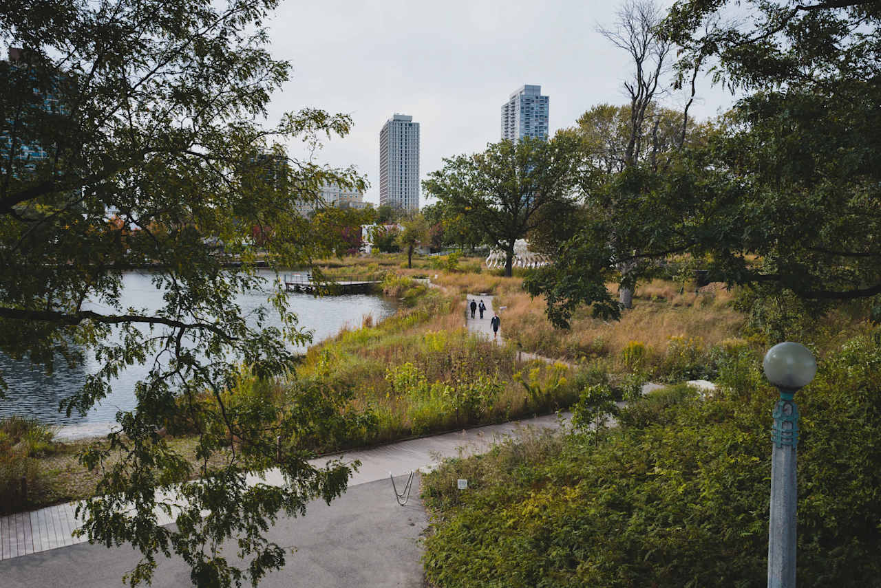 Lincoln Park - North Pond