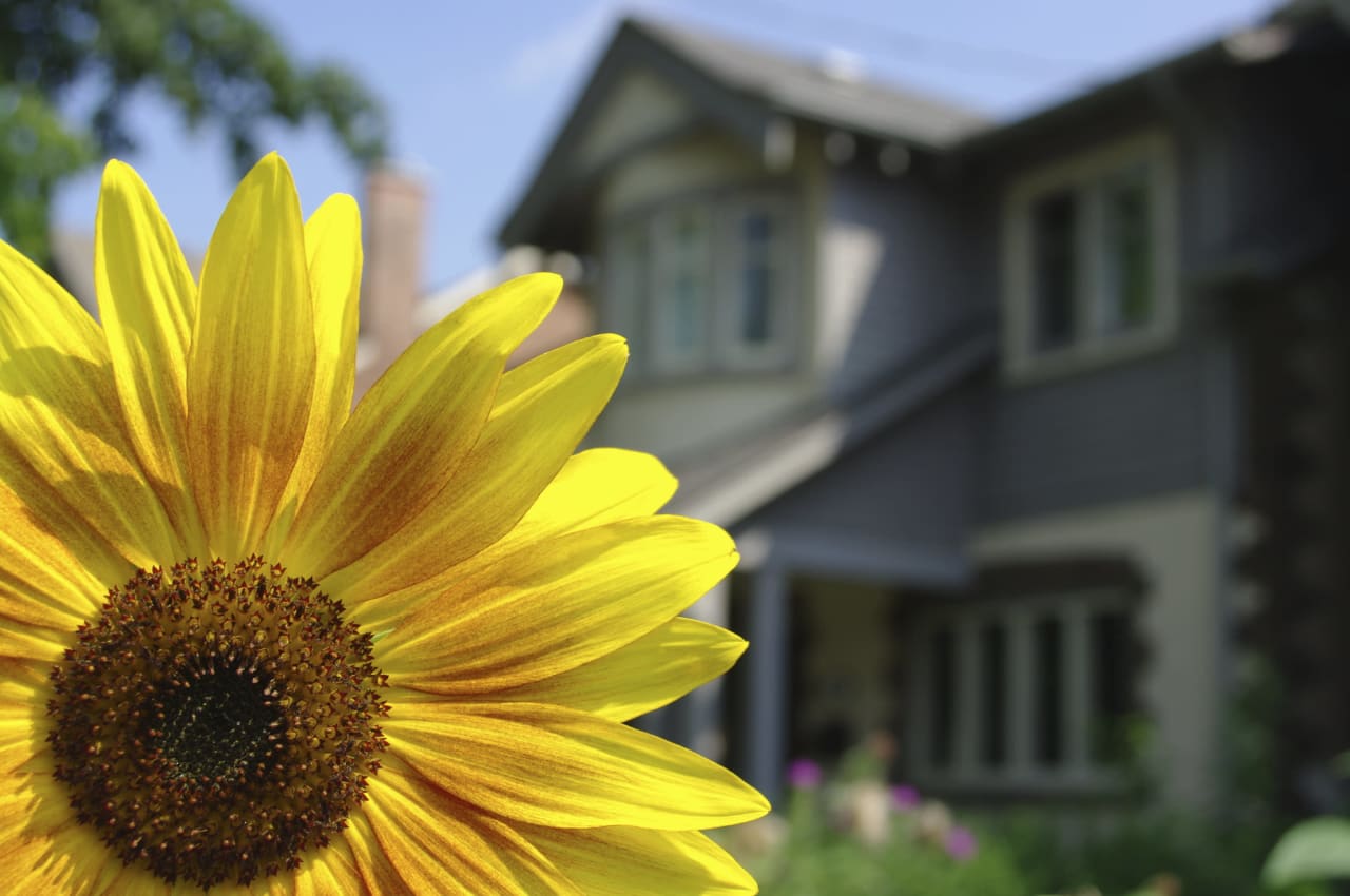 WHY SPRING IS THE BEST TIME TO BUY A HOME