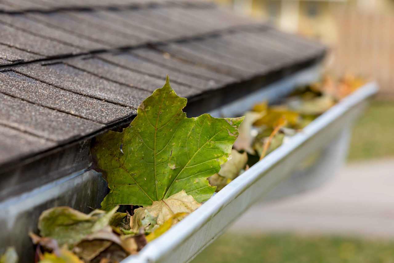 Gutter Cleaning and Maintenance: Keep Water Flowing Away