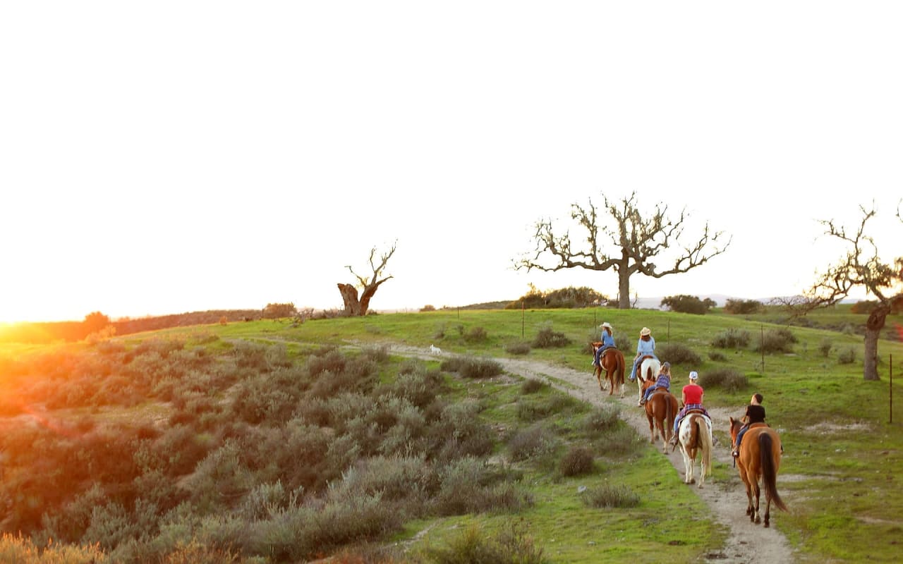 Santa Ynez