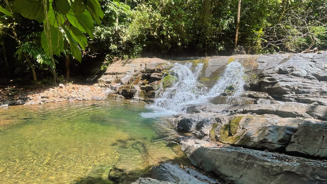 Finca Cerro del Tigre!   Over 20 Acres of Primary Forest and  Waterfalls. 